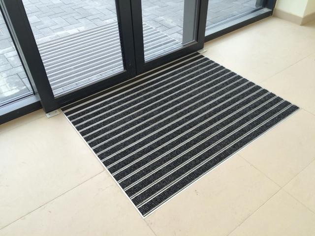 Professional entrance system